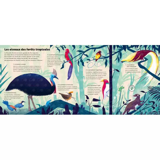 Livre "Les sons de la nature" Auzou - Maison Continuum