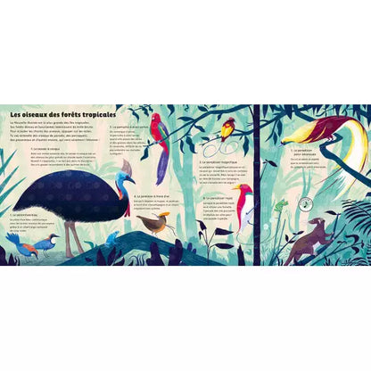 Livre "Les sons de la nature" Auzou - Maison Continuum
