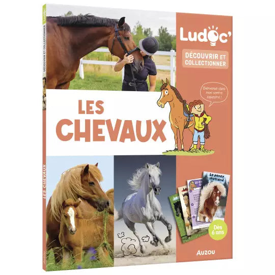 Collection Ludoc – Découvrir et jouer Auzou - Maison Continuum