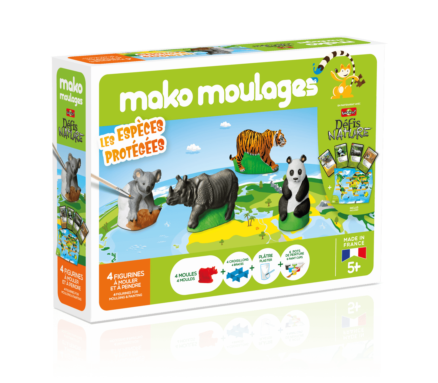 Mako moulages les espèces protégées - Maison Continuum