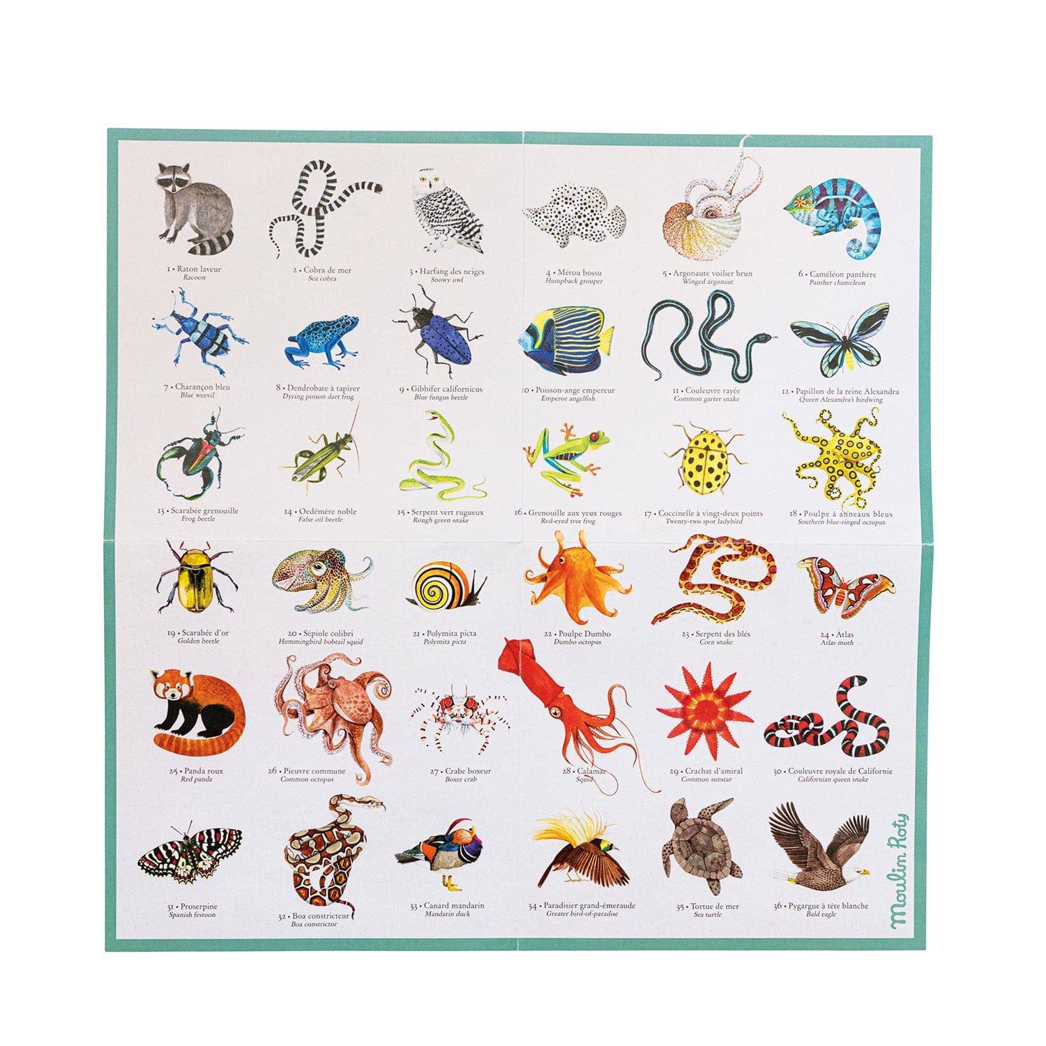 Memory des animaux Moulin Roty - Maison Continuum