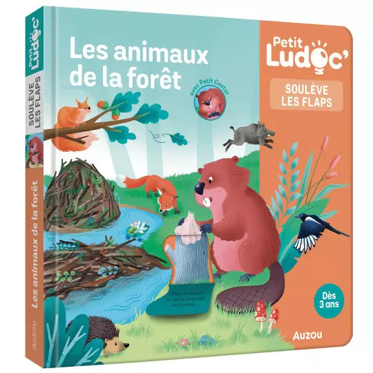Livre à Flaps Documentaire – Une Collection pour Apprendre en S’amusant