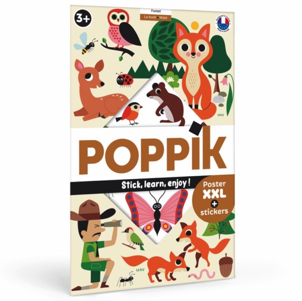 Poster pédagogique la forêt Poppik - Maison Continuum