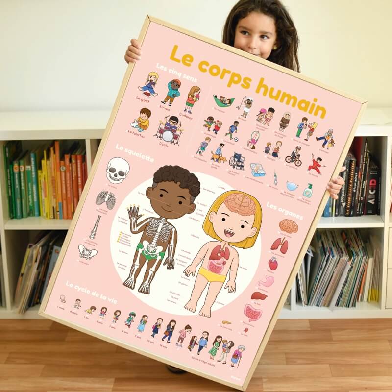 Poster pédagogique le corps humain